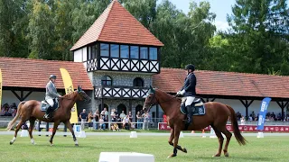 Join Us for the 28th Art Cup Equestrian Celebrity Championships at the Książ Stallion Depot