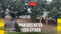 Man dies after attack by tiger at UK wildlife park