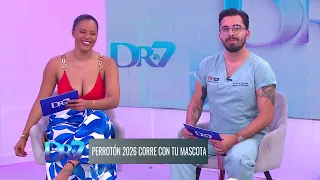 DOCTOR 7 VETERINARIA JUEVES 17 SEPTIEMBRE 2026 |C ONOCIENDO A LA RAZA HUSKY SIBERIANO