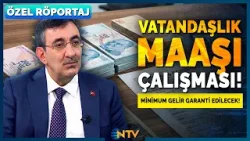 Vatandaşlık Maaşı Kimleri Kapsayacak? Cumhurbaşkanı Yardımcısı Cevdet Yılmaz Detayları Anlattı | NTV