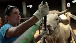 Lo que el iris no ve... ?️? Lo que el iris no ve... ?️?