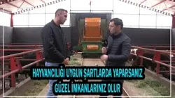 Hayvancılığı Uygun Şartlarda Yaparsanız Güzel İmkanlarınız Olur. Hayvancılığı Uygun Şartlarda Yaparsanız Güzel İmkanlarınız Olur.