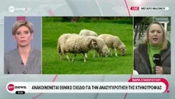 Ανακοινώνεται εθνικό σχέδιο για την ανασυγκρότηση της κτηνοτροφίας
