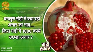Mandi Khabar | मंडी खबर- बंगलुरु मंडी में क्या रहा अनार का भाव किस मंडी में 1000 रुपये उछला अनार ?