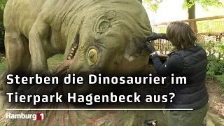 Restorer examines models at Hagenbeck: 117-year-old dinosaur figures put to the test