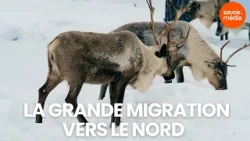 La grande migration vers le nord - Nordicité