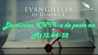 SUNDAY GOSPEL - 17th Sunday in Ordinary Time