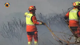 El Saler wildfire remains active and investigation points to possible arson