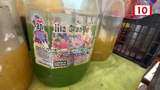 Heat stroke alert in Cancun ahead of back-to-school season