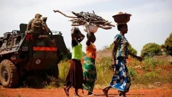 Central African Republic: Deforestation is decimating the fish population
