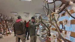 Výstava poľovníckych trofejí