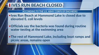 Ives Run Beach closed due to bacteria levels