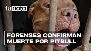 Forensic Medicine confirms 75-year-old man died from pit bull attack