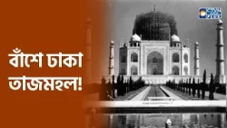 তাজমহল বাঁচাল বাঁশের বেড়া! তাজমহল বাঁচাল বাঁশের বেড়া!
