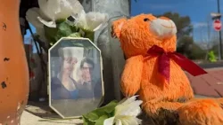 Gilroy police: Visual obstructions contributed to crash, couple's death