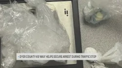 В автомобиле кинологическая служба обнаружила наркотики, мужчина арестован. В автомобиле кинологическая служба обнаружила наркотики, мужчина арестован.