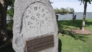Fox Cities parks work to rebuild after losing hundreds of trees this summer