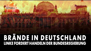 Brände: Linke fordert Handeln der Bundesregierung