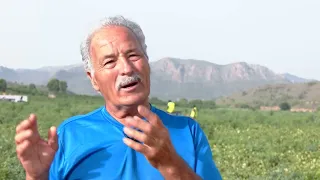 Opening Fields - July 23, 2026 - Part 2