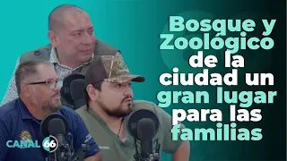 City Forest and Zoo, a great place for families