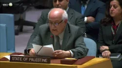 EEUU veta en el Consejo de Seguridad petición palestina de adhesión a la ONU