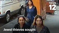 Три женщины украли ювелирные изделия на тысячи долларов из магазинов Нью-Йорка в один и тот же день.