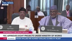 FEC Defends Proposed $21.7bn External Financing Plan