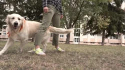 Titán a kamaszoknak is segíthet
