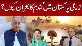 Pakistan Faces Wheat Shortage | Farmers, Imports & Policy Failure Explained | HUM Investigates