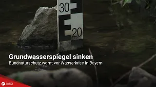 Groundwater levels falling: Nature conservation association warns of water crisis in Bavaria