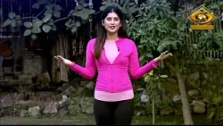 Fit India Healthy India | फिट इंडिया हेल्दी इंडिया | Eye Health | DD Urdu| February 14, 2026