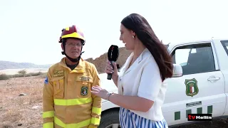 HOLA VERANO 24 de Julio de 2026 - Carrozas de Isso, incendios y lonja agropecuaria.