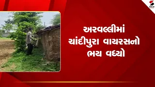 Aravalli | અરવલ્લીમાં ચાંદીપુરા વાયરસનો ભય વધ્યો | Chandipura Virus | Health Alert | Gujarat