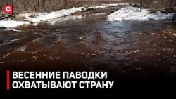 АВТОМОБИЛЬНЫЙ МОСТ УШЕЛ ПОД ВОДУ. С чем сталкиваются белорусы во время паводков?