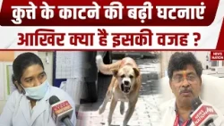 Dog Bites incidents Increased: कुत्ते काटने की बढ़ी घटनाएं, Bhopal में Doctors की बात सुनिए। Health