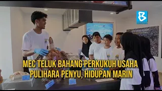 MEC TELUK BAHANG PERKUKUH USAHA PULIHARA PENYU, HIDUPAN MARIN