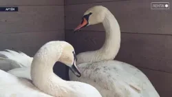 Когда погода становится теплее, а ночи короче природа просыпается Когда погода становится теплее, а ночи короче природа просыпается