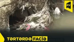 Tərtərdə 7 yaşlı qız kanalda boğularaq ölüb