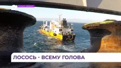 Рекорд рыбаков, эксперимент с икрой и квоты: промысловый совет прошел во Владивостоке