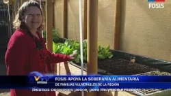 FOSIS supports food sovereignty for vulnerable families in the region