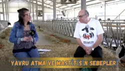 Yavru Atma Ve Mastitisin Sebepleri Nelerdir?