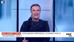 INSA Alumni Maroc : Zoom sur l´intelligence artificielle au Maroc avec Mohamed Bensaid