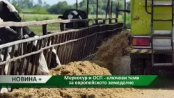 Новина плюс: Меркосур и ОСП - ключови теми за европейското земеделие