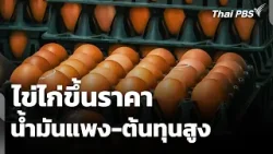 ไข่ไก่ขึ้นราคา หลังน้ำมันแพง-ต้นทุนสูง | วันใหม่ ไทยพีบีเอส | 17 มี.ค. 69