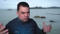 Cultivo de algas aumenta lucratividade e reduz impactos ambientais