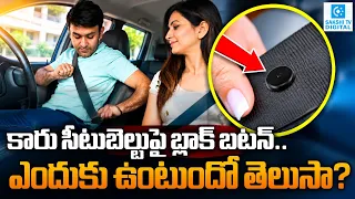 Ever Wondered Why There’s a Black Button on Your Seat Belt? Here’s What It Does!