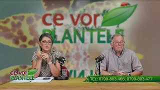 Cristina Ghibu and Horia Ghibu - How do we restore the soil in a greenhouse monoculture?