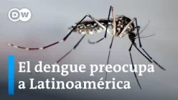 América Latina podría vivir su peor ola de dengue