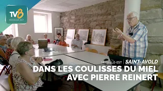 Saint-Avold: Behind the scenes of honey with Pierre Reinert