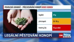 Domácí pěstování konopí je v Česku nově legální. Zákon má ale bizarní háčky
